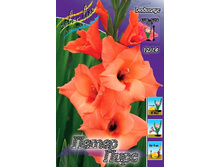 8,7���. ��������� ����� ����(���������� ������ ������ ���������� �� 7 ��.).jpg