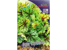 265,3���. ������� ���� �� ����(�������� ���� �� 1 ��., ����������� ����� 1��.).jpg