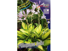 180���. ����� ������� ����(�������� ���� �� 1 ��., ����������� ����� 1��.).jpg