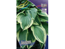 46,55���. ����� ������(�������� ���� �� 2 ��., ����������� ����� 1��.).jpg