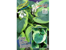 124,7���. ����� ���� ����� �������(�������� ���� �� 1 ��., ����������� ����� 1��.).jpg