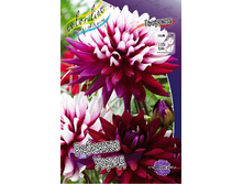 91,2���. �������� �������� �����(�������� ���� �� 1 ��., ����������� ����� 1��.).jpg