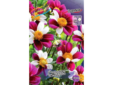 83,5���. �������� ������(�������� ���� �� 1 ��., ����������� ����� 1��.).jpg