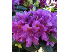 301���. ����������� ��������� ���� ���� �����.jpg