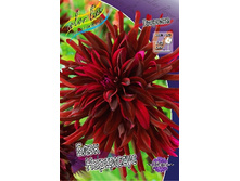 83,5���. �������� ���� ���������(�������� ���� �� 1 ��., ����������� ����� 1��.).jpg