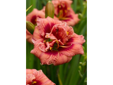 156,3���. �������� ����� ��� ����(�������� ���� �� 1 ��., ����������� ����� 1��.).jpg