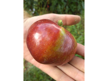 IMG 20160827 124052.jpg