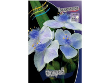 57,6���. ������������ ������(�������� ���� �� 2 ��., ����������� ����� 1��.).jpg