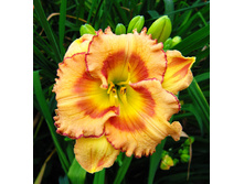 211,6���. �������� ������ ����(�������� ���� �� 1 ��., ����������� ����� 1��.)���17.jpg