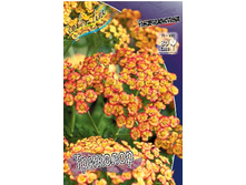 68,7���. ������������� ��������(�������� ���� �� 2 ��., ����������� ����� 1��.).jpg