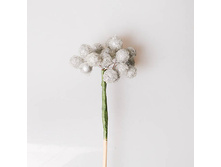 ������ ����� � ������ ������� 1011 65 ���.jpg