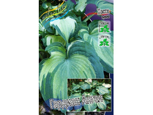 180���. ����� ������� �����(�������� ���� �� 1 ��., ����������� ����� 1��.).jpg