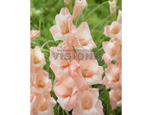 9,37���. ��������� ���������(���������� ������ ������ ���������� �� 7 ��.).jpg