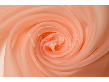 ����� �� ������.jpg