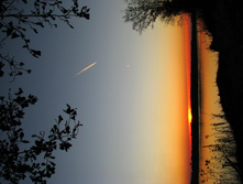 IMG 7768 f.jpg