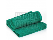 Pol ashx gr-izumr-8391.jpg