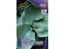 59,2���. ����� ������ �������� �����(�������� ���� �� 2 ��., ����������� ����� 1��.).jpg