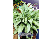 91,6���. �������� �������(�������� ���� �� 1 ��., ����������� ����� 1��.).jpg