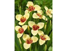 8,05���. �������� �����������(���������� ������ ������ ���������� �� 10 ��.).jpg