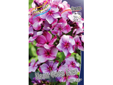 93,95���. ����� NEON ���� ���� ���(�������� ���� �� 2 ��., ����������� ����� 1��.).jpg