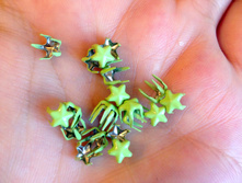 5�� 5�� 20���