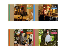 ������ ��� ��������� 32�. �4 �� ������� Orange Toys -������ ���� 33,01.jpg