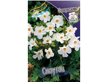 54,45���. ����������� �������(�������� ���� �� 2 ��., ����������� ����� 1��.).jpg