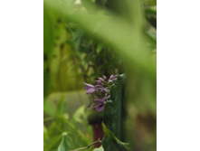 DSCF8156.JPG