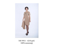 540-9911 4210��.jpg