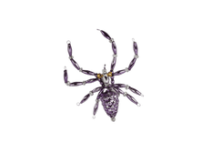 ���� �� ������