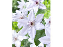 124,3���. �������� ���� ����(�������� ���� �� 2 ��., ����������� ����� 1��.).jpg