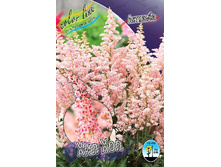 95,55���. �������� ��� ���(�������� ���� �� 2 ��., ����������� ����� 1��.).jpg