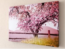 ������� ������ 1-1.jpg