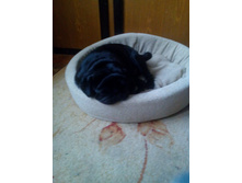 IMG 20161018 151629.jpg