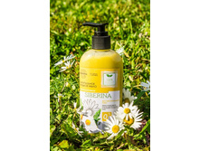 ����������� ������ ���� "���������������", 197,3