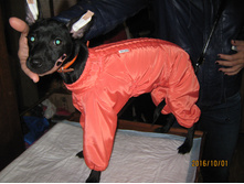 ����� 005.jpg