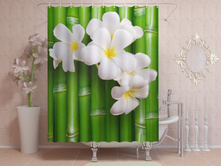 ����� �� �������.jpg