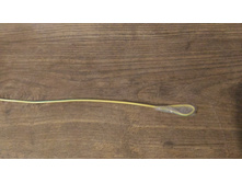 P 20161020 120635.jpg