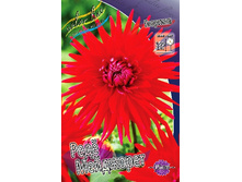 70,7���. �������� ��� ���������(�������� ���� �� 1 ��., ����������� ����� 1��.).jpg