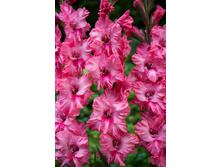 8,45���. ��������� �������� �������(���������� ������ ������ ���������� �� 8 ��.)���17.jpg