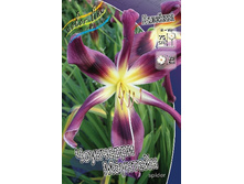 180���. �������� ��������� ��������(�������� ���� �� 1 ��., ����������� ����� 1��.).jpg