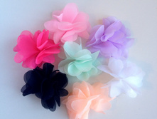 5�� 10 ���