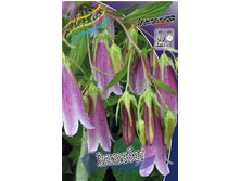 106,6���. ����������� ��������(�������� ���� �� 2 ��., ����������� ����� 1��.).jpg