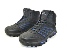 1695�. 33521 L-1-6