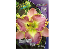 172,1���. �������� �������� ����(�������� ���� �� 1 ��., ����������� ����� 1��.).jpg