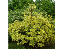 143���. ���� ����� ������.jpg