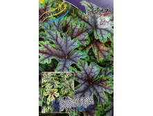 235,3���. ���������� ��������(�������� ���� �� 1 ��., ����������� ����� 1��.).jpg