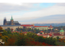 IMG 5334.JPG