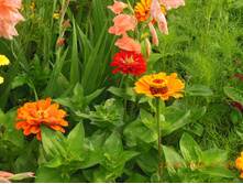 DSCN2133.JPG