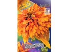 279,5���. �������� ��������(�������� ���� �� 1 ��., ����������� ����� 1��.).jpg